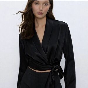 Aritzia Babaton Davis Blouse